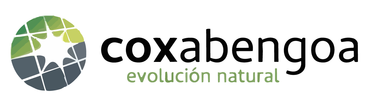 Coxá Bengoa